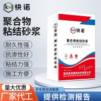 快诺 桥梁加固 防腐蚀 聚合物粘结砂浆 供应 免费拿样