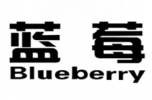 蓝莓