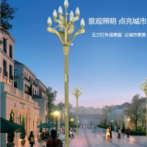 华冠 玉兰灯厂家 组合灯杆6米10米12米 大型广场街道定制灯具