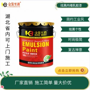 湖北武汉 厂家供应鼎上建材 炫黑内墙乳胶漆顶棚天花板翻新用漆