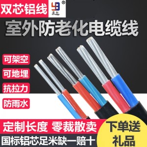国标2芯电缆线铝芯家用户外电线4 6 10 16 25平方双芯铝线护套线